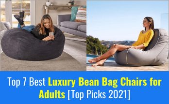 Luxury Bean Bag Chairs for Adults