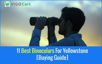 11 Best Binoculars For Yellowstone 3