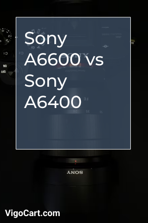 Sony A6600 vs Sony A6400