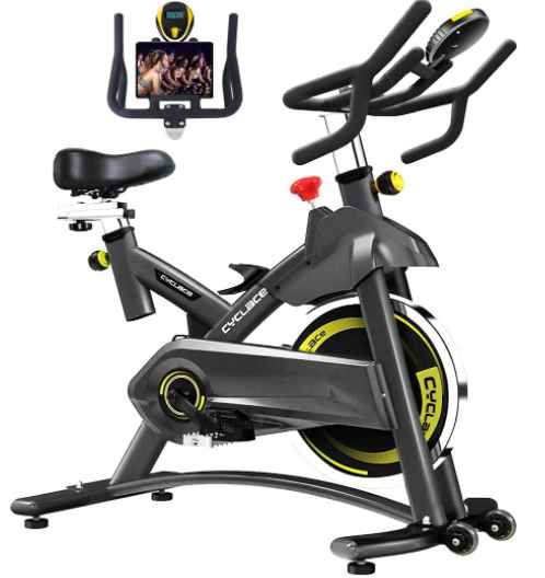 Cyclace Exercise Bike Stationary 11zon